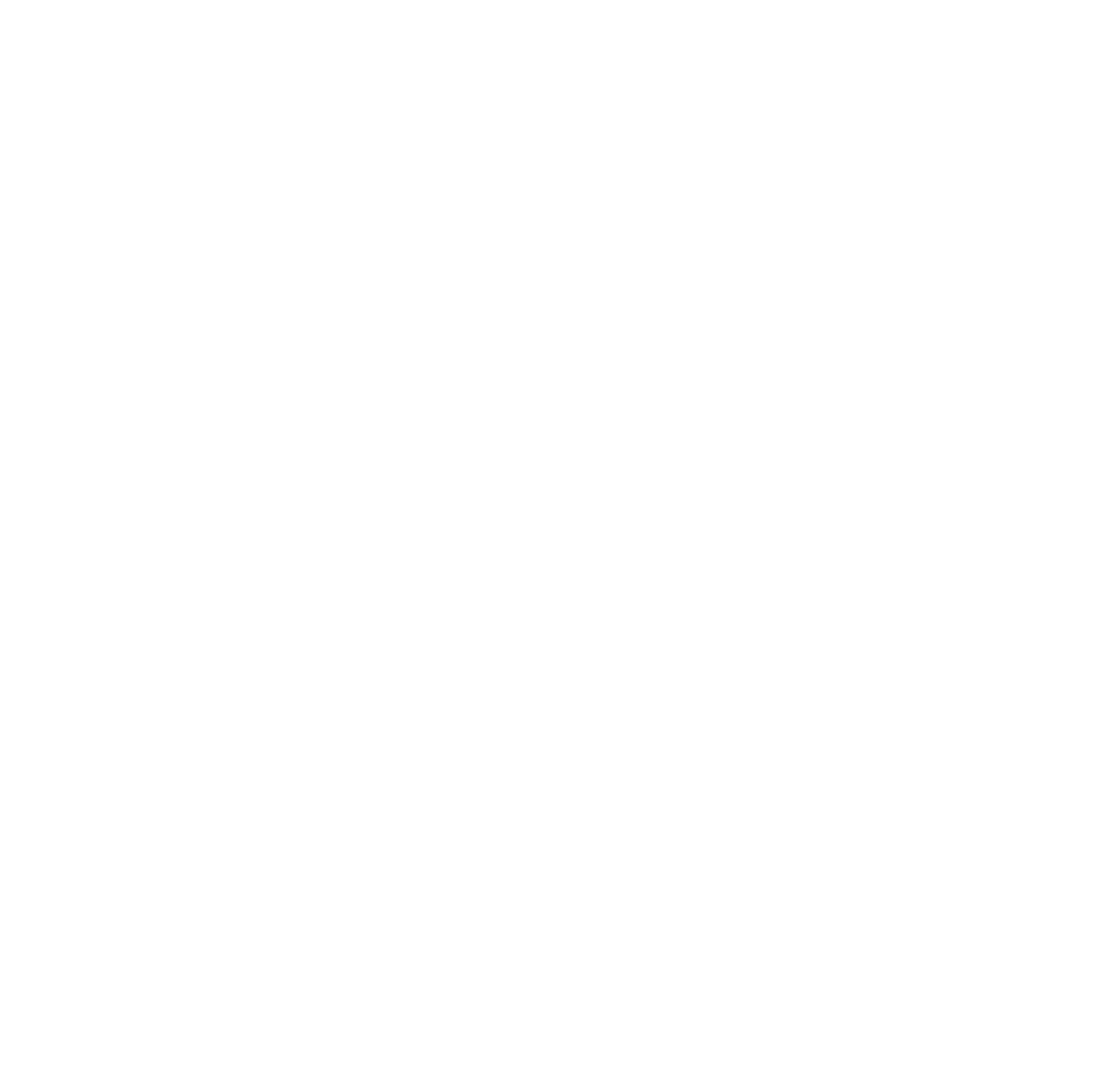 AUDİS logosu